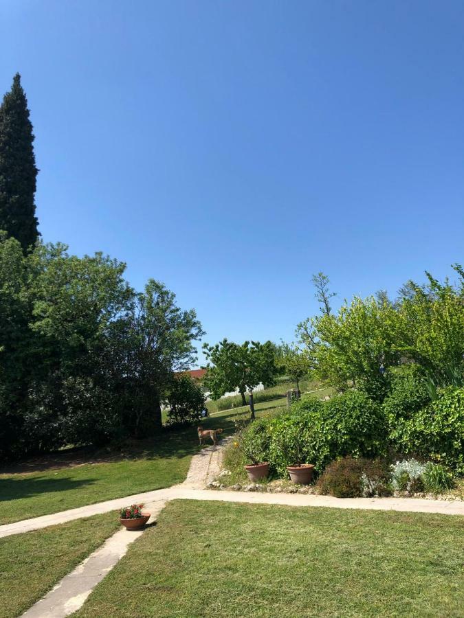 B&B Corte Preare Lavagno Dış mekan fotoğraf